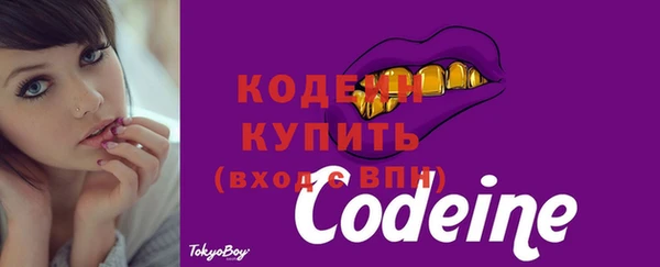 ALPHA PVP Иннополис